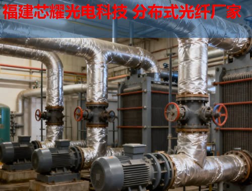 分布式光纤技术如何应用于英语教学？跨学科融合的无限可能。