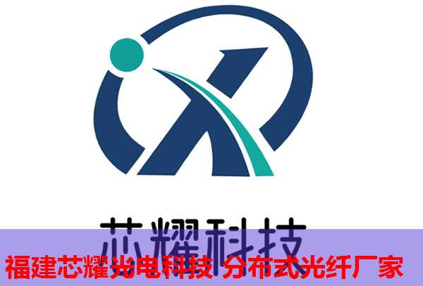 光纤网络布局下的政策导向与实践策略分析