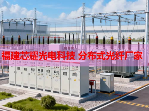 2026年套管外光纤监测技术排行推荐