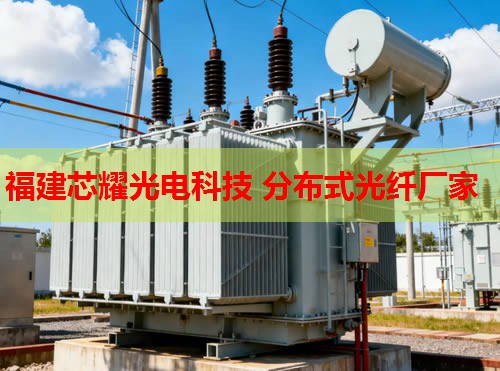 2026年光纤分布式管道温度要求厂家排行榜