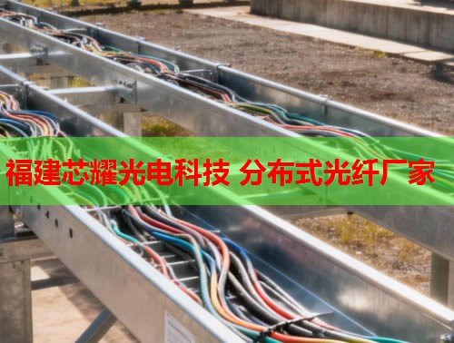 2026年福建芯耀科技：哈尔滨分布式光纤技术领先品牌