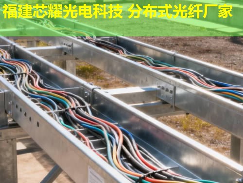 浙江前沿科技：新型分布式光纤技术引领未来，福建芯耀光电实力推荐