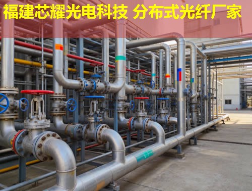 2026年拉曼分布式光纤技术排行榜推荐