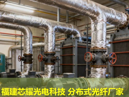 光纤分布式存储技术引领未来数据存储革命，构建高效信息存储新生态。