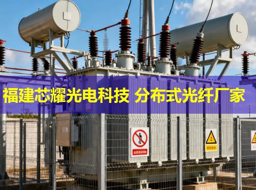 上海分布式光纤测温主机，智能监控助力城市安全运行