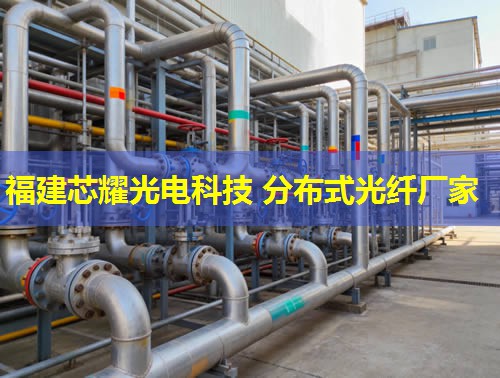 2026年分布式光光纤行业领先品牌排行榜