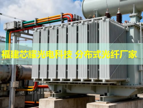 DTS分布式光纤组成是怎样的？