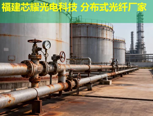 2026年分布式测温光纤定点技术排行推荐