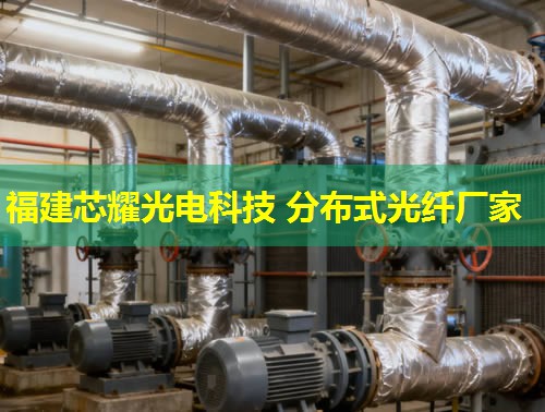 分布式光纤夹具品牌排行推荐