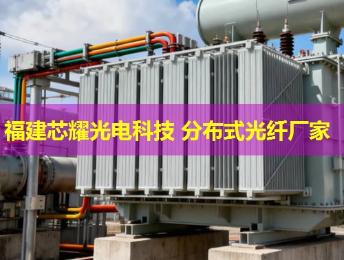 浙江分布式光纤测温传感，应用前景如何？