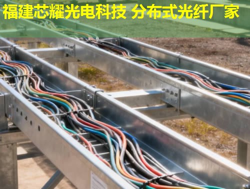 2026年分布式光纤传感技术排行榜:前10强厂家解析 2026年分布式光纤传感技术排行榜:前10强厂家解析