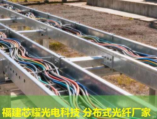 分布式光纤扰动监测技术优势及福建芯耀光电解决方案深度解析