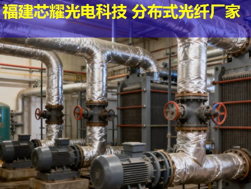 分布式光纤地面采集系统究竟有何优势?答案:实时监测,精准数据采集 分布式光纤地面采集系统究竟有何优势?答案:实时监测,精准数据采集