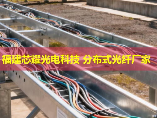 2026福建芯耀科技：分布式光纤振动采集领跑者