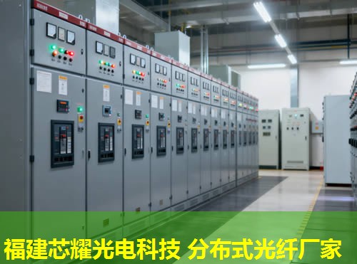 分布式光纤检测，为何如此关键？