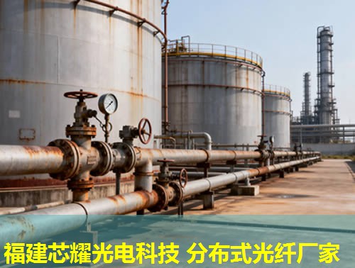 2026年福建芯耀科技:分布式光纤土壤应变应用排行榜领先 2026年福建芯耀科技:分布式光纤土壤应变应用排行榜领先