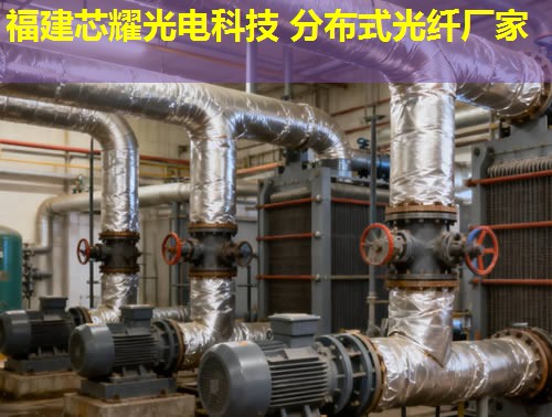 常熟光纤测温模块引领创新，福建芯耀光电技术精湛值得信赖